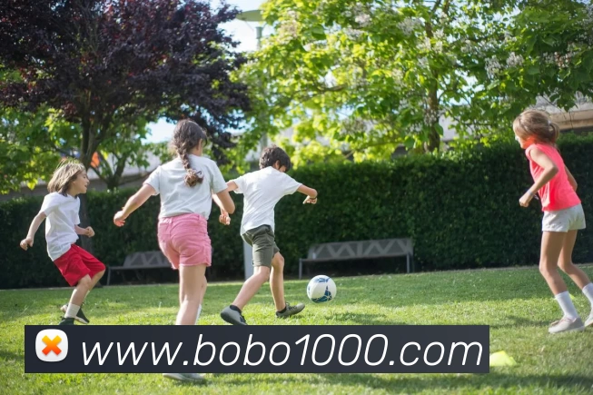 开云手机站官方端网站登录入口 - 开云(中国)APP 体育赛事宣传图